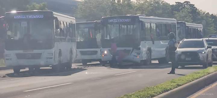 Buses chinos