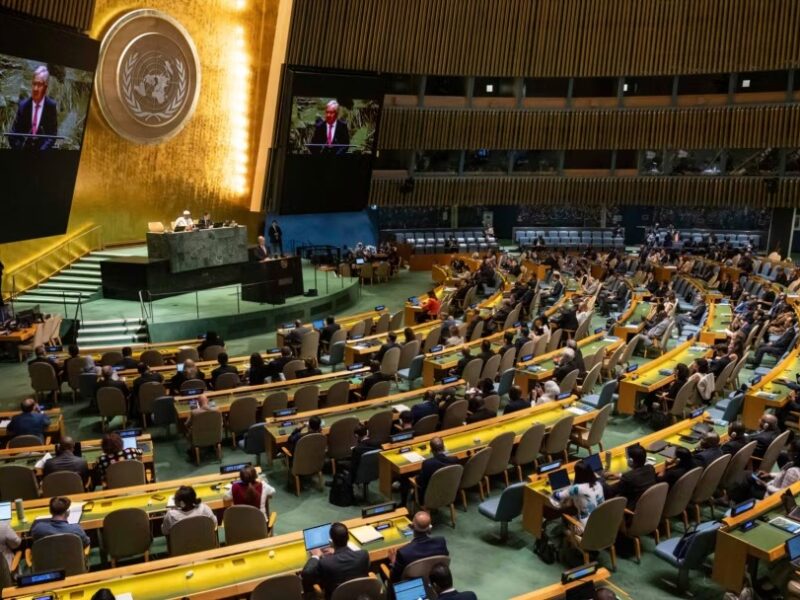 Asamblea General de la ONU