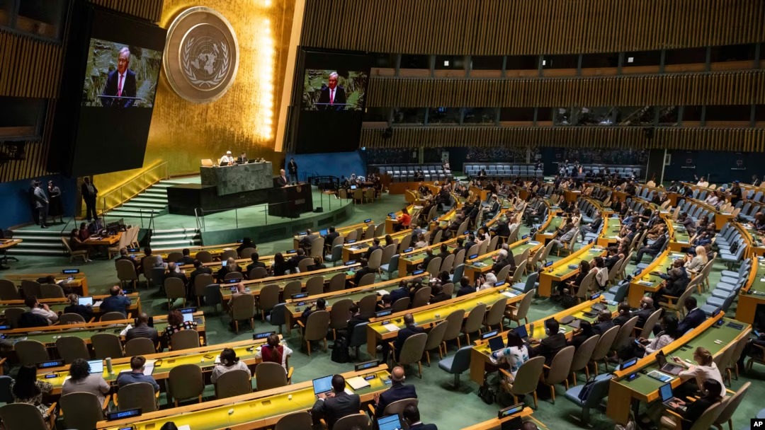 Asamblea General de la ONU